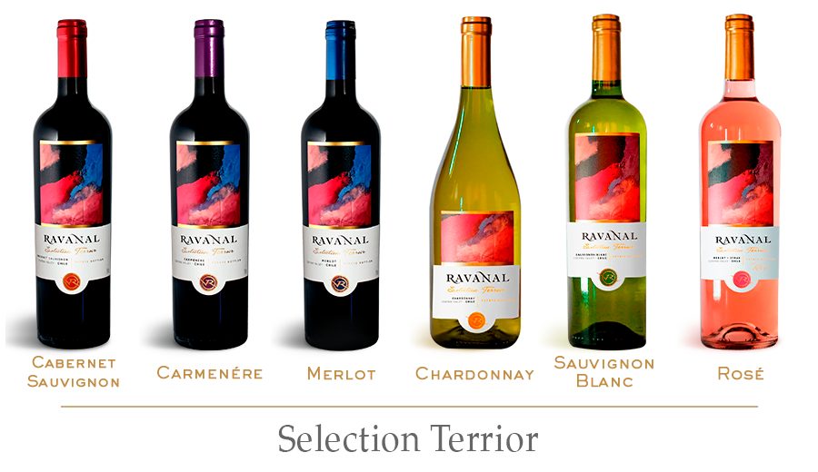 Experiencia en Bodega