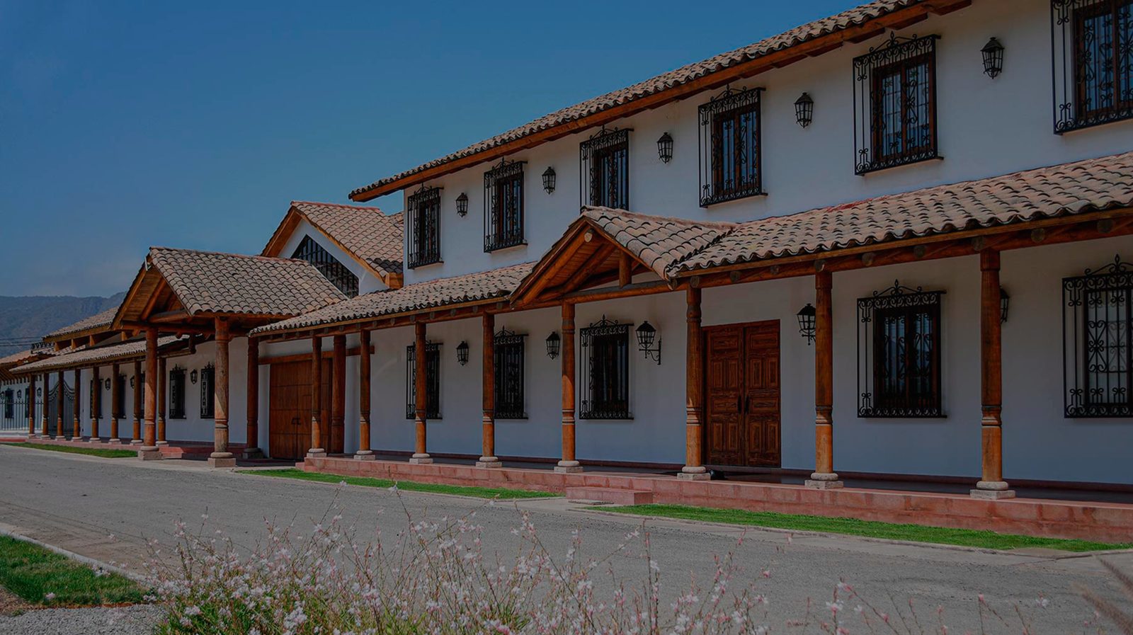 Viñedos de Viña Ravanal en el Valle de Colchagua, Chile